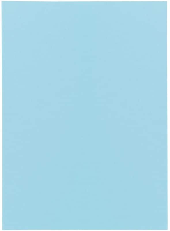 Exacompta Super Sorteermap A4 Blauw Karton 60 g/m² 250 Stuks