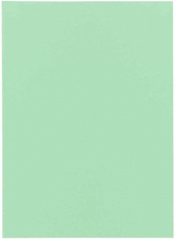 Exacompta Super Sorteermap A4 Groen Karton 60 g/m² 250 Stuks