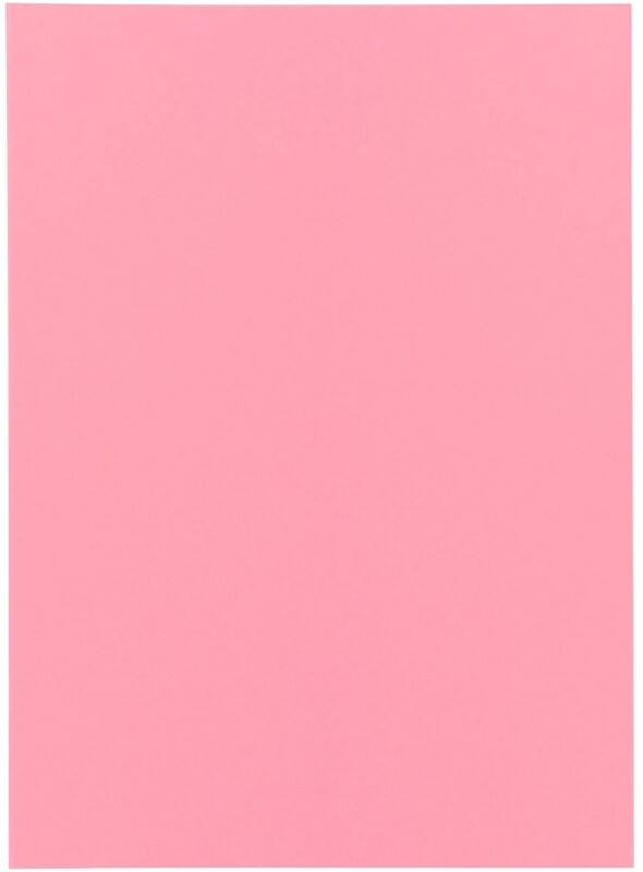 Exacompta Super Sorteermap A4 Roze Karton 60 g/m² 250 Stuks