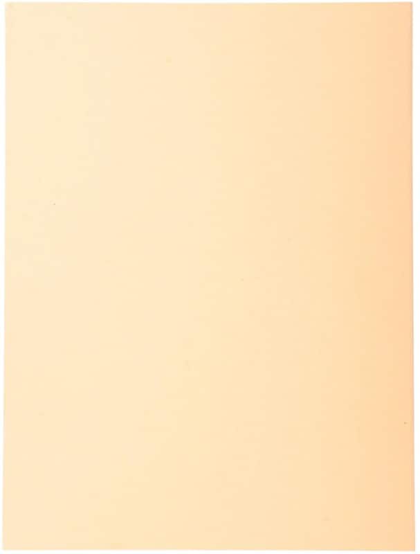Exacompta Forever Sorteermap A4 Crème Manila 100% gerecycled 170 g/m² 100 Stuks