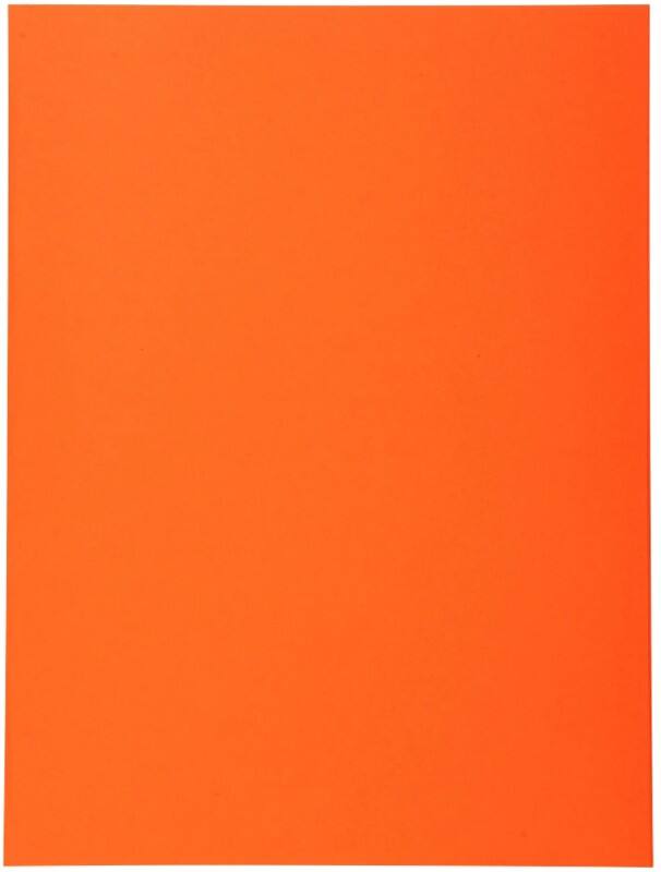Exacompta Forever Sorteermap A4 Oranje Manila 100% gerecycled 170 g/m² 100 Stuks