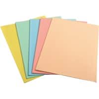 Exacompta Forever Sorteermap A4 Kleurenassortiment Manilakarton 60 g/m² 250 Stuks