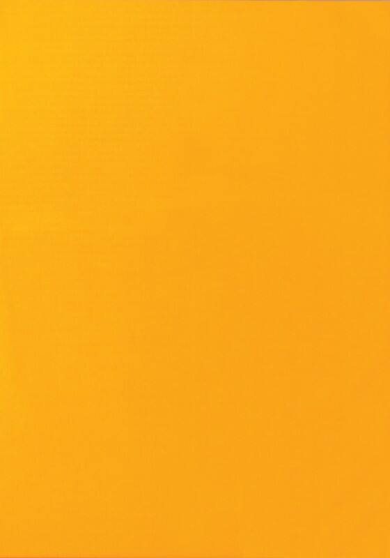 Etiketten VIK-540-OE Klevend A4 Neonoranje 210 x 297 mm  25 Vellen à 1 Etiketten