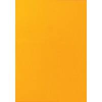 Multifunctional Etiketten Neon Oranje Rechthoekig 25 Etiketten per Pak