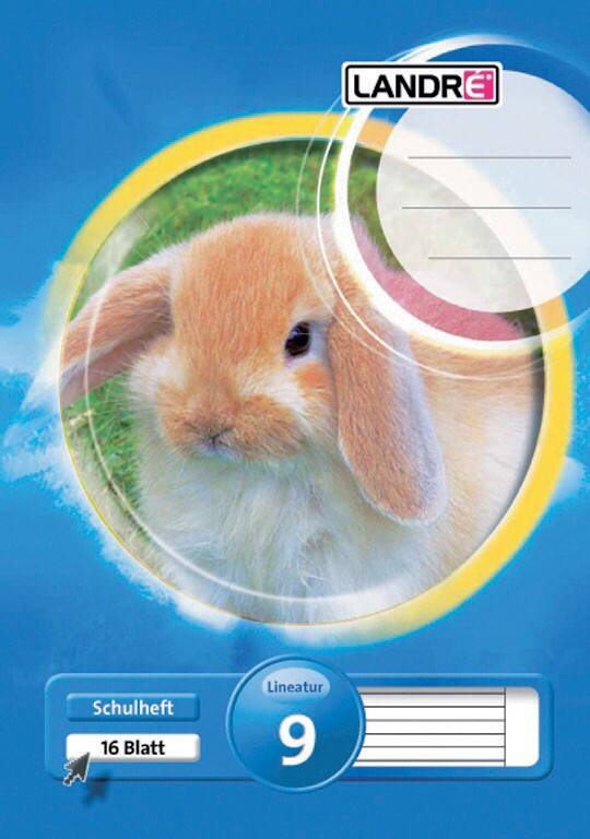 LANDRÉ A5 80 g/m² 16 vellen gelinieerd margin