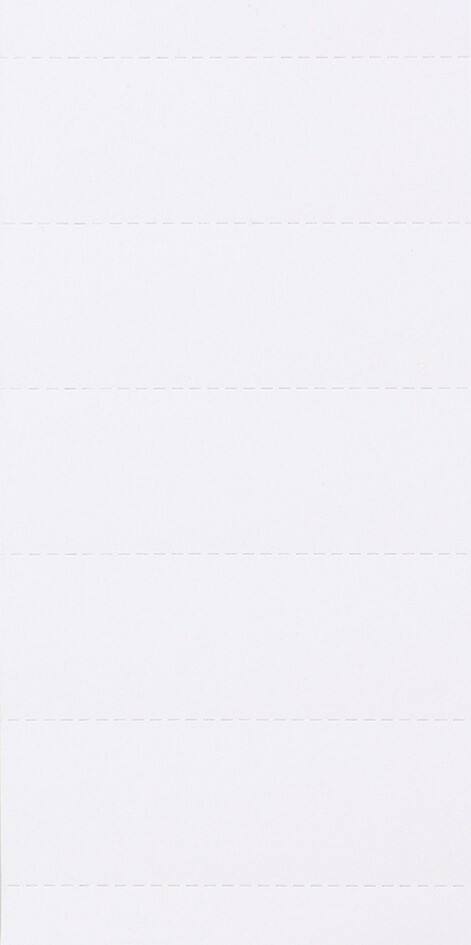 Ruiters voor hangmappen 1601 Wit Karton 2,1 x 6 cm 100 Stuks