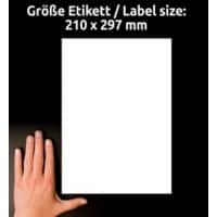Avery Waterbestendig Adresetiketten L7567-25 Klevend A4 Transparant 210 x 297 mm 25 Vellen à 1 Etiketten