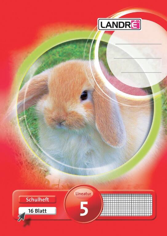 LANDRÉ A5 80 g/m² 16 vellen geruit 5mm