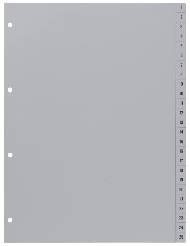 Hetzel Tabbladen 721311 A4 Grijs 100 tabs Geperforeerd Polypropyleen 1 tot 100