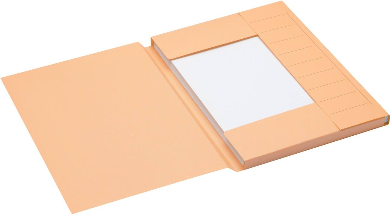 Jalema Sorteermappen spectrum A6010-247 A4 Beige Karton 31 x 25 cm