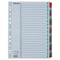 Esselte Mylar Index 100164 A4 Met versterkte tabs Veelkleurig 31 Tabs 11-gaats 160 g/m² Karton 1 tot 31