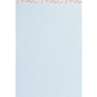 Elco Schrijfblok A4 Geruit Gelijmd Wit Geperforeerd 200 Pagina's 10 Stuks à 100 Vellen