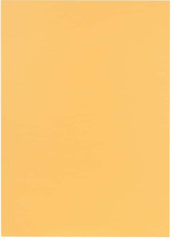 Falken Snelhechter A4 Chamois Manila Gerecycled 250 g/m² 250 g/m²