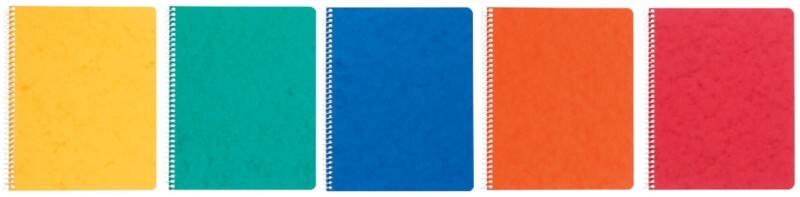 Ursus Style Schrijfblok A5 Geruit Bindrug Karton Kleurenassortiment Geperforeerd  96 Pagina's 10 Stuks à 48 Vellen