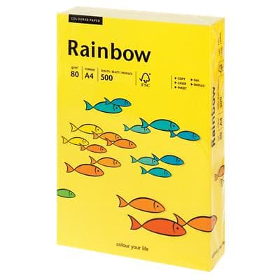 Rainbow Gekleurd print-/ kopieerpapier A4 80 gram 18 500 vellen