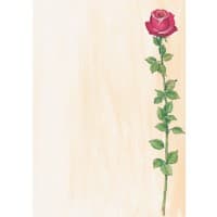 Sigel Rose A4 Mat 90 g/m² 21 x 29,7 cm Kleurenassortiment 25 Vellen