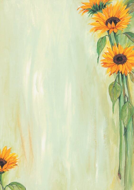 Sigel Zonnebloem Kopieer- en multifunctioneel papier A4 Mat 90 g/m² 21 x 29,7 cm Kleurenassortiment 25 Vellen