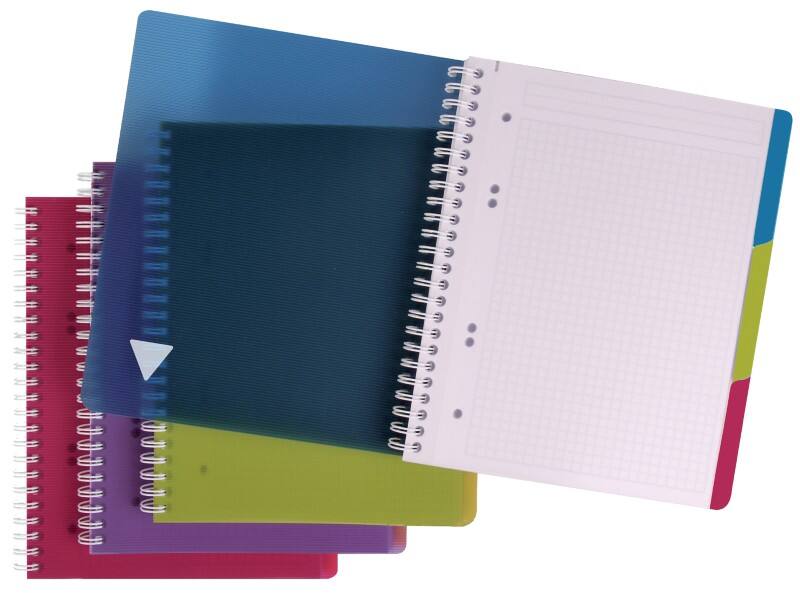 Clairefontaine Linicolor Schrijfblok A4+ Geruit Spiraal gebonden PP (polypropeen) Kleurenassortiment 240 Pagina's 120 Vellen