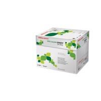 Office Depot Everyday A4 Kopieerpapier Wit Recycled 80 g/m² Glad 2500 Vellen
