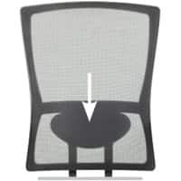 Schaffenburg Lumbar Support for Desk Chair 300-Nen