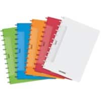 Adoc Colourlines A4 Ring Gebonden Schrift Kleurenassortiment Polypropylene Kaft Geruit 4 x 8 mm 72 vellen