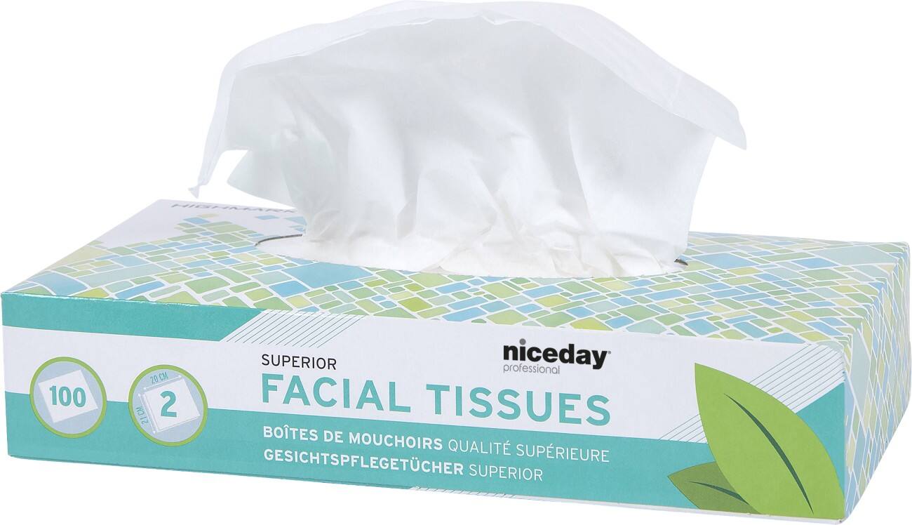 Niceday Professional Tissues Standard 2-laags 100 Vellen